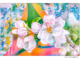 Faltkarte Experimentell 012