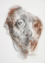 Raymond Berbiguier