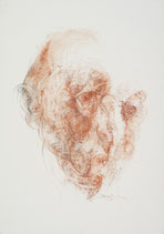 Raymond Berbiguier