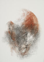 Raymond Berbiguier
