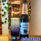 Sirope de Arándanos x 750 ml