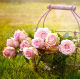 Fresh Cut Roses - Duftwachs