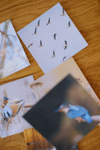 Postkartenset Quadrat