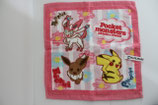 Pokemon Handtuch Eievui
