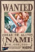 One Piece Mini Puzzle - Nami