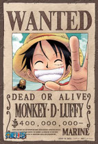 One Piece Mini Puzzle - Luffy