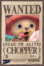 One Piece Mini Puzzle - Chopper