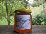 Miel de sapins et forêt