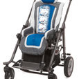 Rehabuggy Beispiel