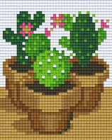 801443 Cactus