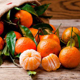 'Clémentines corses