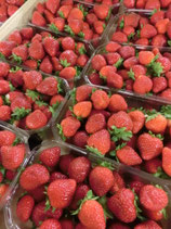 'Fraises