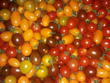 .Tomates cerises