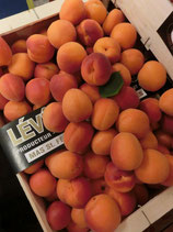 'Abricots