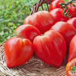 .Tomates
