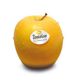 Pomme Tentation