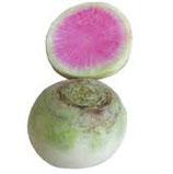 Radis redmeat