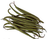 Haricot vert (ramassé main)