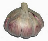 Ail violet