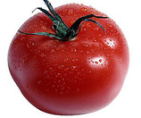 Tomate ronde