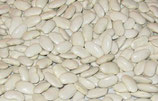 Haricots tarbais 500 gr