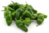 Padrons