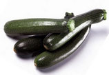 Courgette longue