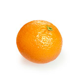 Clementine Nadorcott