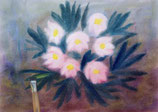 Christrose