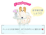 幸福袋2026》ペットとプレゼント＆お手紙を交換しよう♡