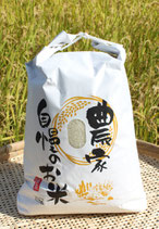 無農薬ひのひかり10kg玄米