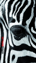 Einleger "Zebra"