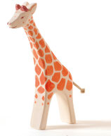 pettite giraffe, ostheimer