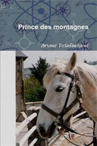 PRINCE DES MONTAGNES (Roman Initiatique)