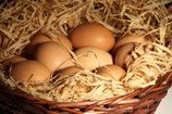 Oeufs frais
