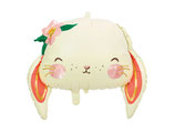 Hase Bl