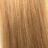 Farbe 24 - Hairextensions