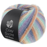 Cosy Socks multi stripes