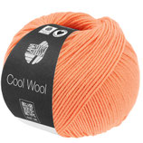 Cool Wool Merino superfein