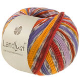 Landlust Die Sockenwolle 800er Serie