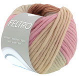 Feltro Arco