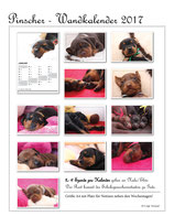 Pinscher Kalender 2018