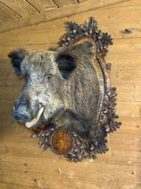 Wildschwein- Keilervorschlag