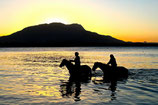 Sunset Horseback Riding