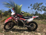 Tauro 250 cc, Enduro