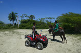 Offroad Quad Horseback Riding Kombi