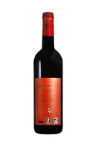 IGP Cévennes, Domaine Costeplane, Merlot,  2023     Demeter