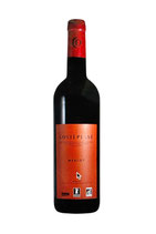 IGP Cévennes, Domaine Costeplane, Merlot,  2023     Demeter