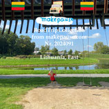 Lithuania, East. RoadTripCollection from makepause.com No.2024091