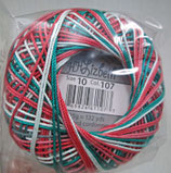 Lizbeth10/ 107(Tropical Fruit)